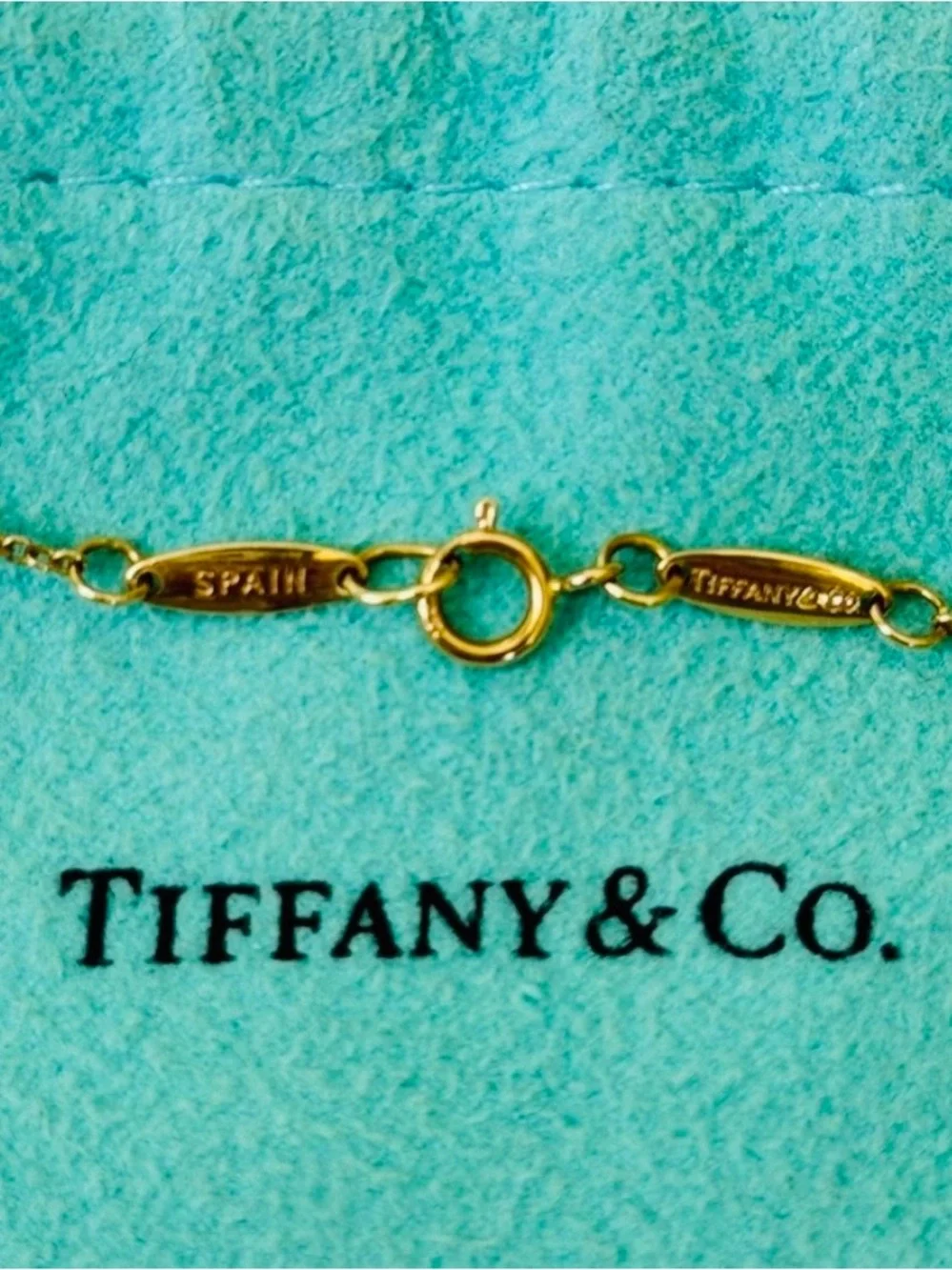 Tiffany & Co. Authentic Diamonds by the Yard Solitaire Necklace 18K Yellow Gold